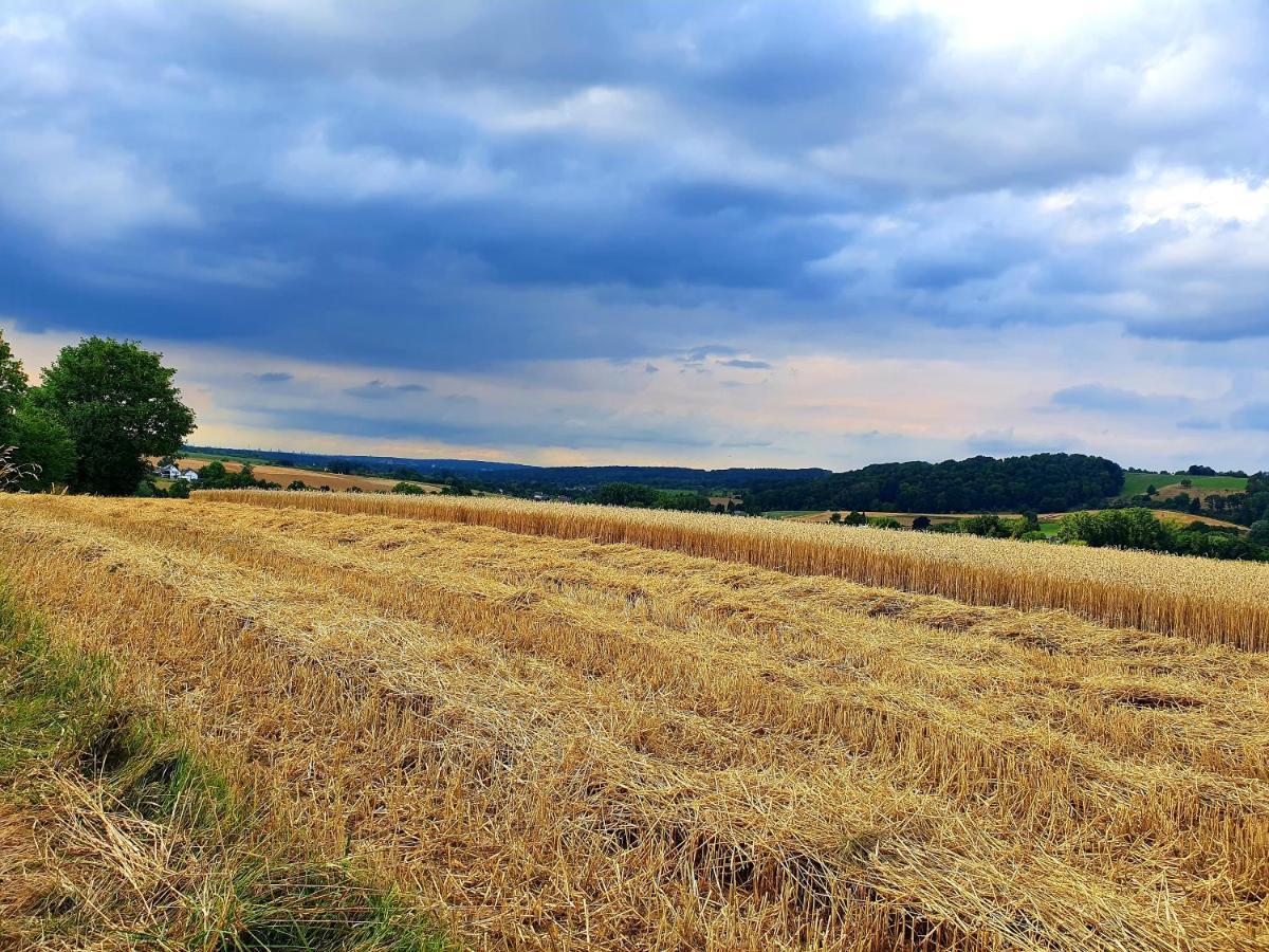 Ferienwohnung Im Siebengebirge Naehe Koeln/Bonn Königswinter Buitenkant foto