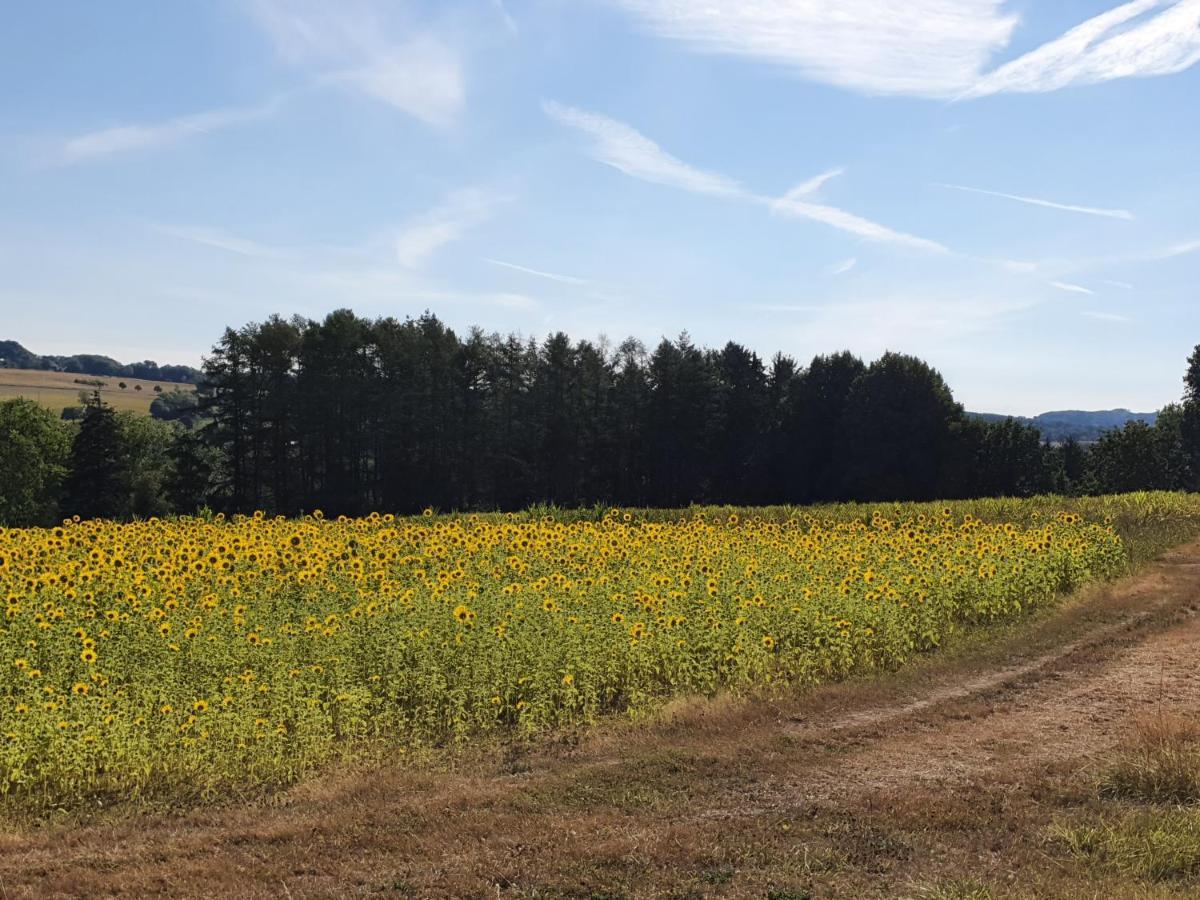 Ferienwohnung Im Siebengebirge Naehe Koeln/Bonn Königswinter Buitenkant foto